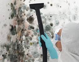 Why You Should Choose Our Mold Remediation Services in Sargent, TX